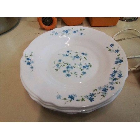 LOT DE 5 ASSIETTES BLEU MOTIF FLORAL 