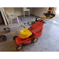 TONDEUSE ELECTRIQUE WOLF EUROTONDOR
