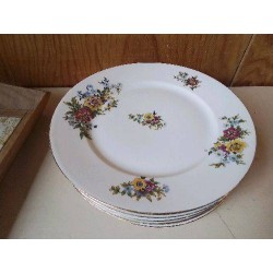 LOT DE 6 ASSIETTES EN PORCELAINE 