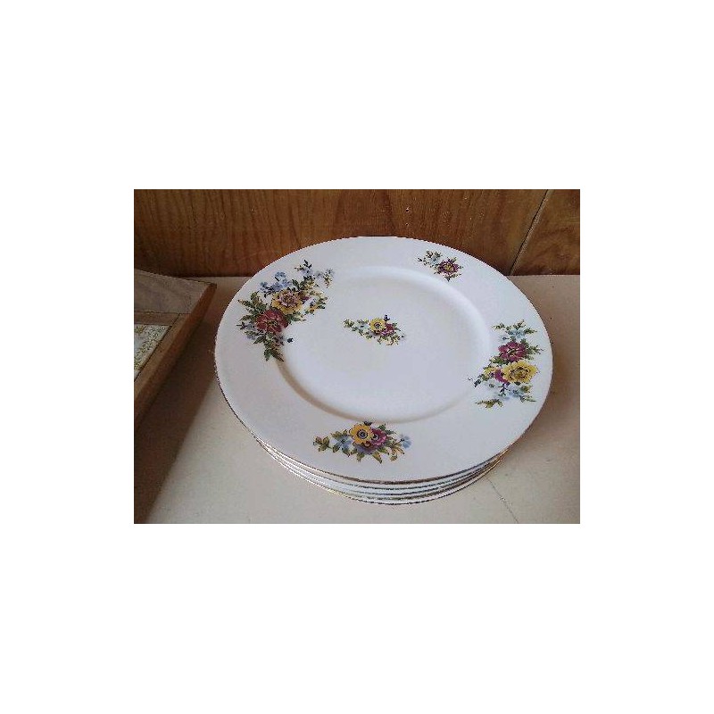 LOT DE 6 ASSIETTES EN PORCELAINE 