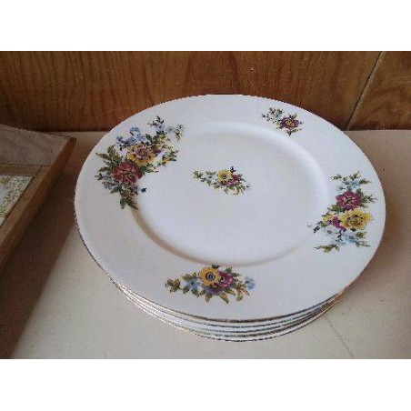 LOT DE 6 ASSIETTES EN PORCELAINE 