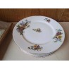 LOT DE 6 ASSIETTES EN PORCELAINE 