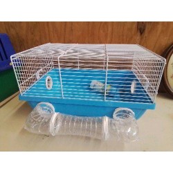 CAGE POUR RONGEUR 