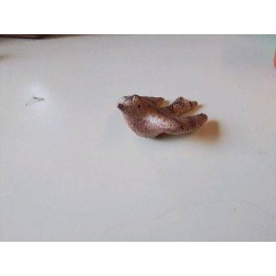 FIGURINE D’HIRONDELLE EN TERRE CUITE