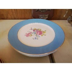 LOT DE 5 ASSIETTES PLATES EN PORCELAINE DE DIGOIN 