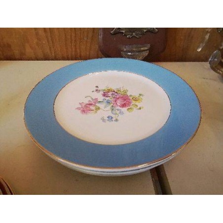 LOT DE 5 ASSIETTES PLATES EN PORCELAINE DE DIGOIN 