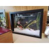 DIORAMA AUX CHATS