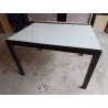 TABLE BOIS ET VERRE 