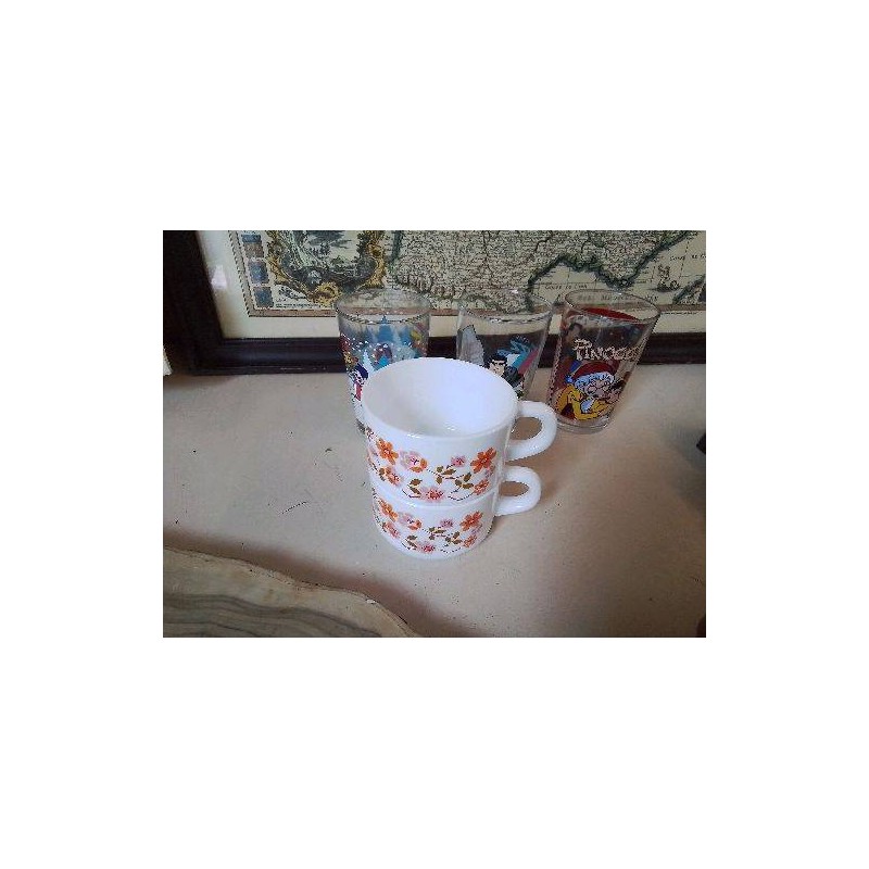 TASSE ARCOPAL 