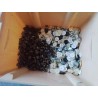 BOUTON 1€ LES 20