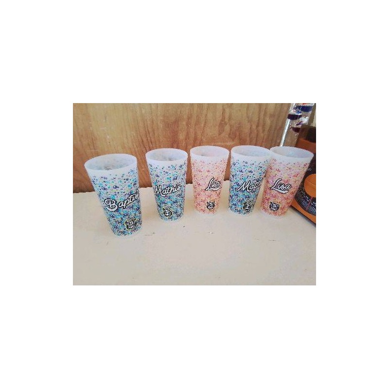 ECO CUP