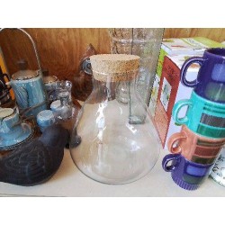 TERRARIUM EN VERRE 