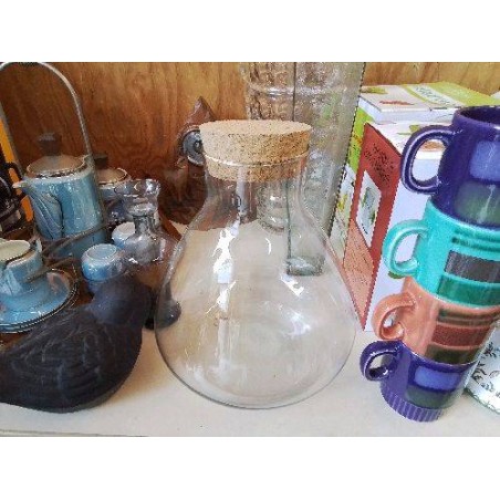 TERRARIUM EN VERRE 