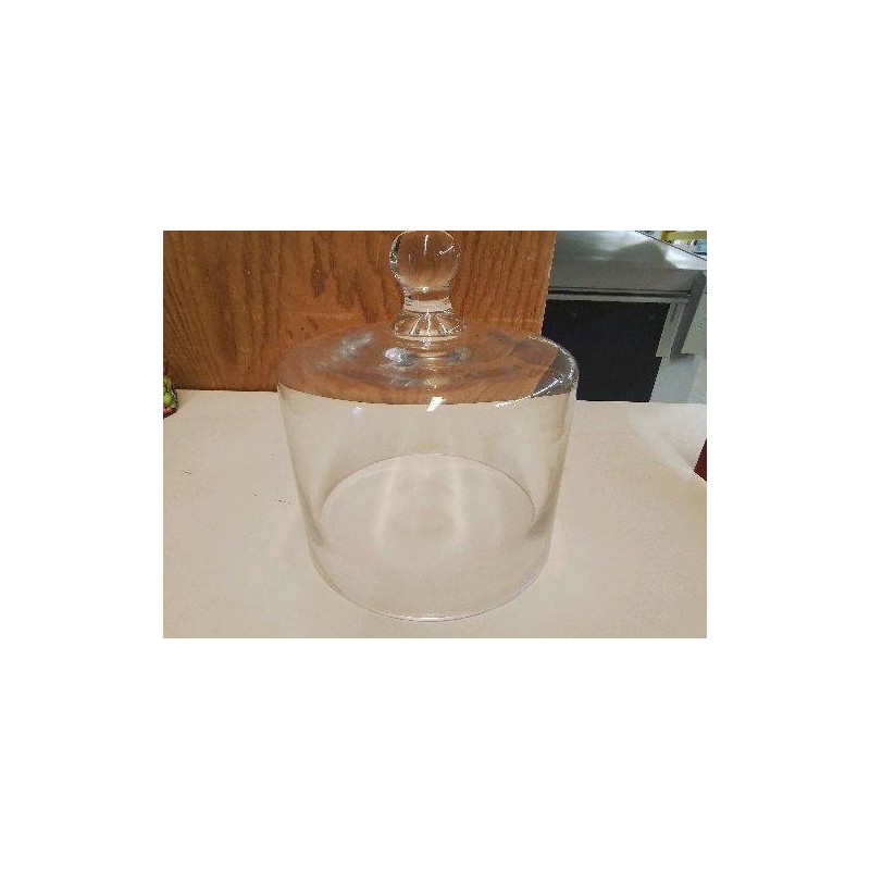 CLOCHE EN VERRE TRANSPARENT 
