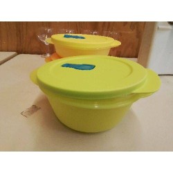 BOITE TUPPERWARE 