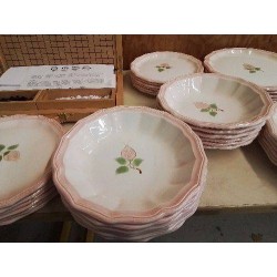 ASSIETTES PRIMEROSE MOTIF FLORAL 