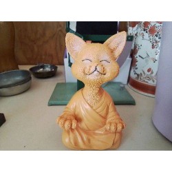 CHAT MOINE 