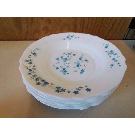 LOT DE 7 ASSIETTES MYOSOTIS 