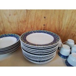 LOT DE 6 ASSIETTES PLATES MOTIF FLEURS BLEU 