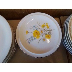 LOT DE 6 ASSIETTES EN PORCELAINE 