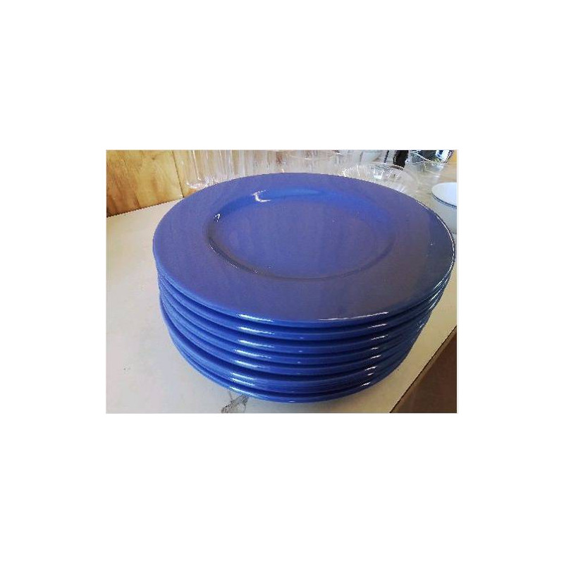 LOT DE 8 ASSIETTES BLEUES 
