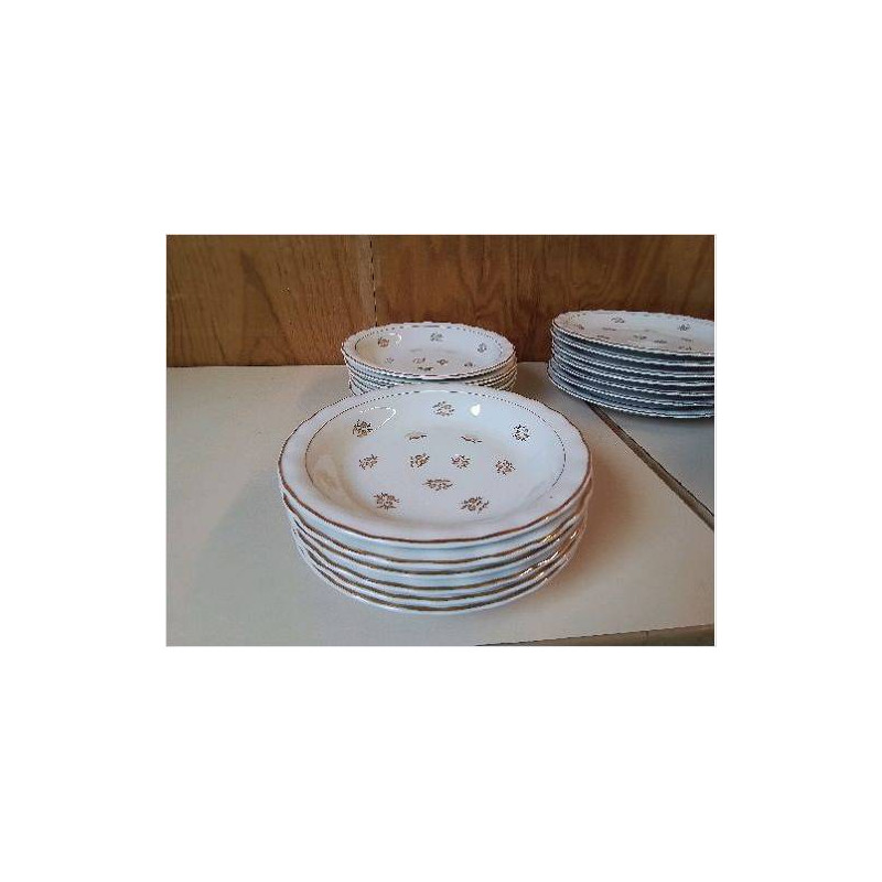ASSIETTE CREUSE EN PORCELAINE AVEC MOTIF FLORAL BORDURE DORÉ 