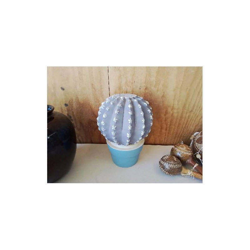 CACTUS DECO 