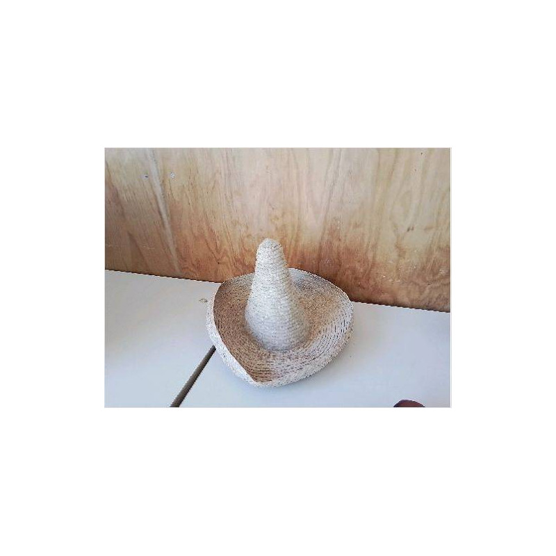 CHAPEAU DE PAILLE 