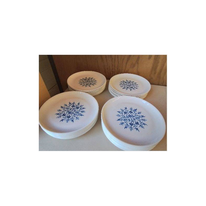LOT DE 6 PETITES ASSIETES DECO VEGETAL BLEUTÉ 