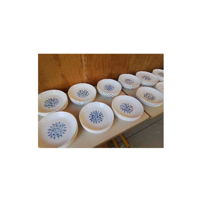 LOT DE 6 ASSIETES CREUSES DECO VEGETAL BLEUTÉ