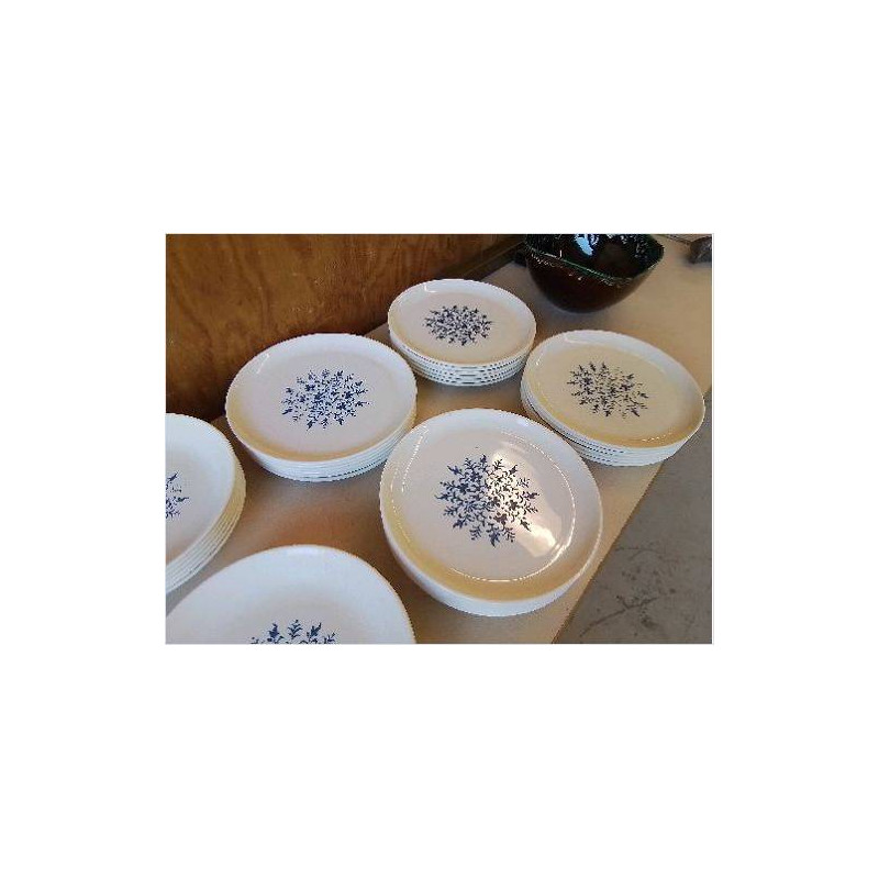 LOT DE 6 ASSIETES PLATES DECO VEGETAL BLEUTÉ