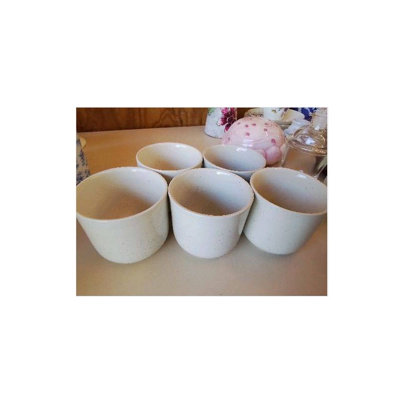 LOT DE 5 TASSES A THE JAPONAISE 