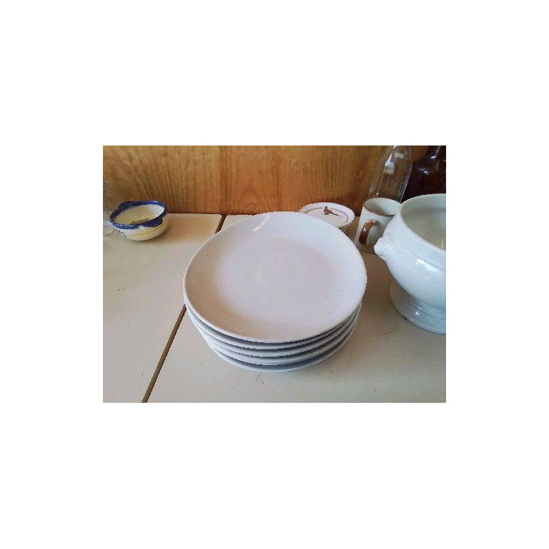 LOT DE 6 ASSIETTES BLANCHES 