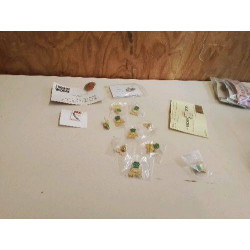 PINS