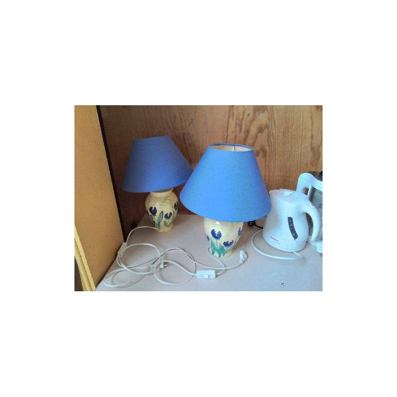 LAMPE MOTIF FLEUR BLEU 