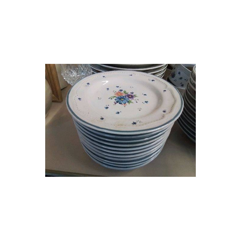 LOT DE 12 ASSIETTES A DESSERT 