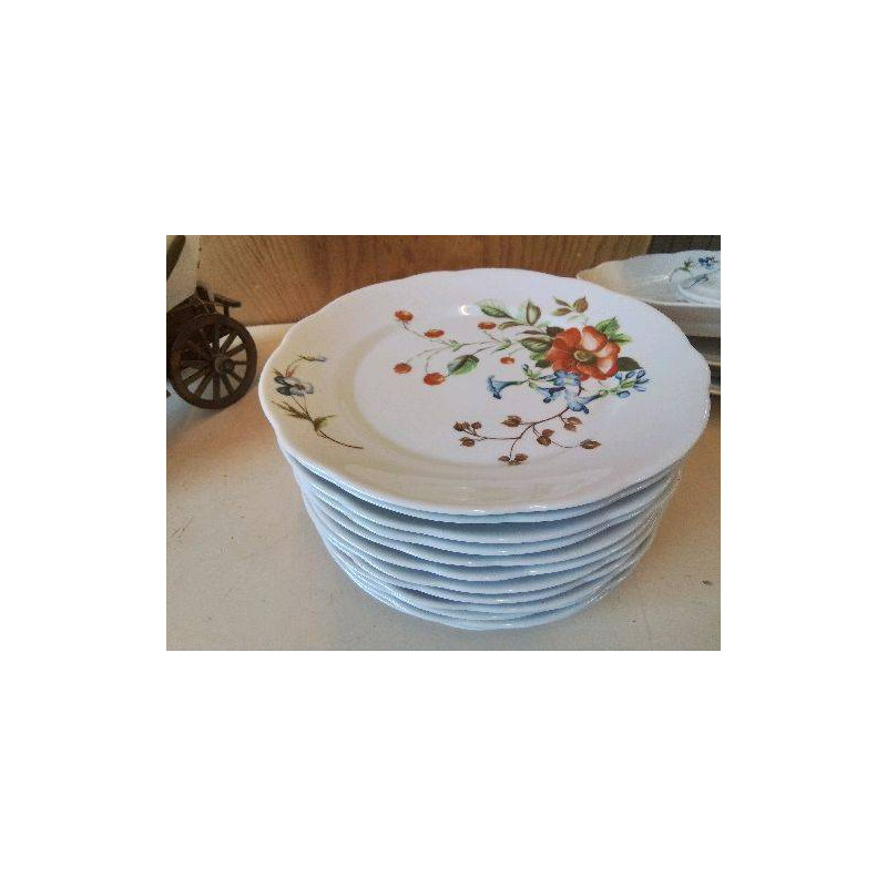 LOT DE 12 ASSIETTES PLATES 