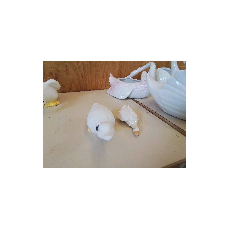PETIT CANARD 
