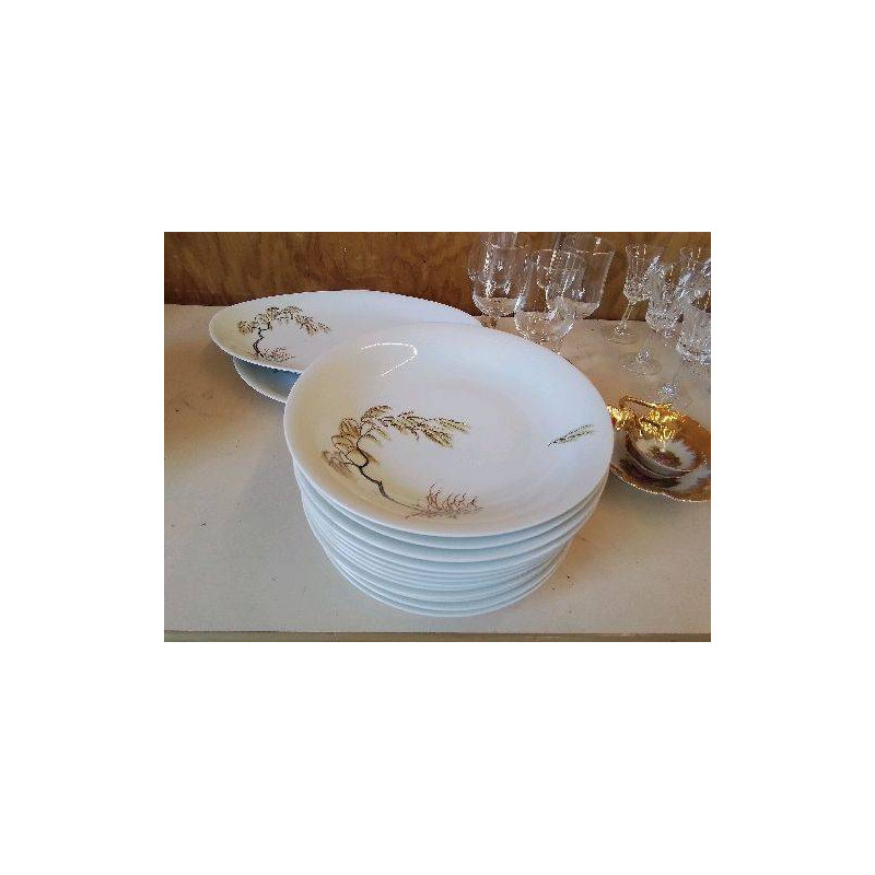 LOT DE 6 ASSIETTES CREUSES PORCELAINE DE LIMOGE ARBUSTE 