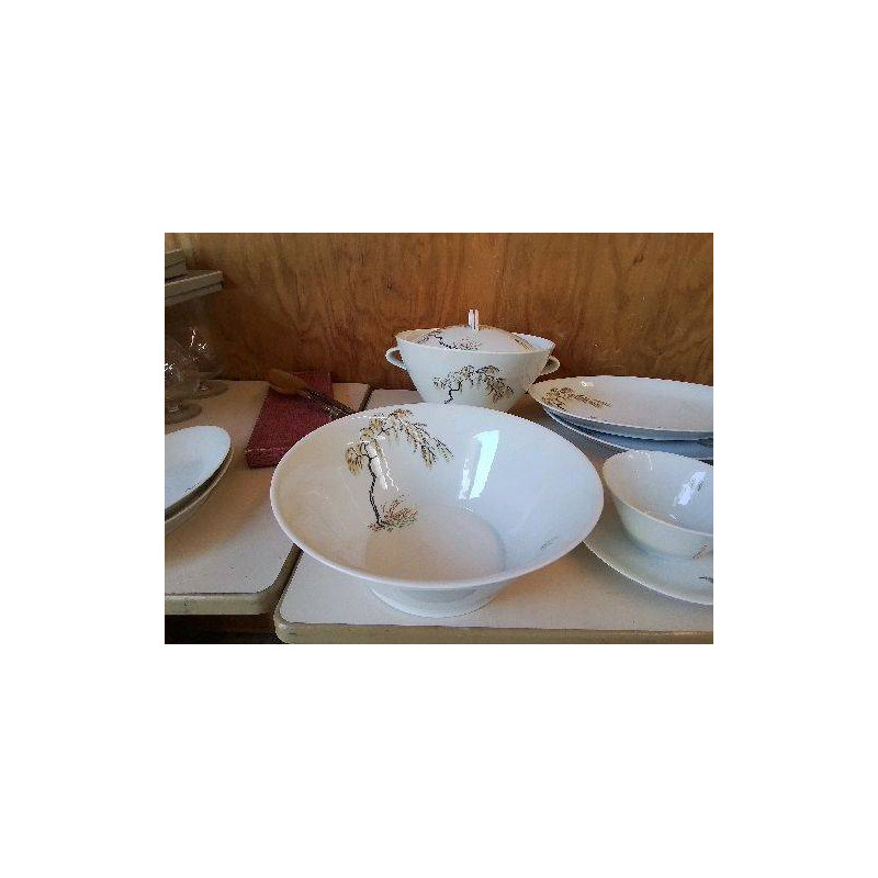 SALADIER PORCELAINE DE LIMOGE ARBUSTE 