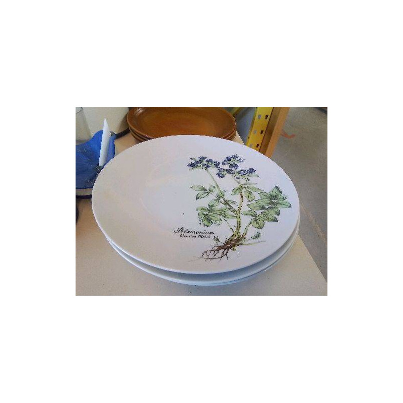 LOT DE 4 ASSIETTES PLATES MOTIF FLORAL 