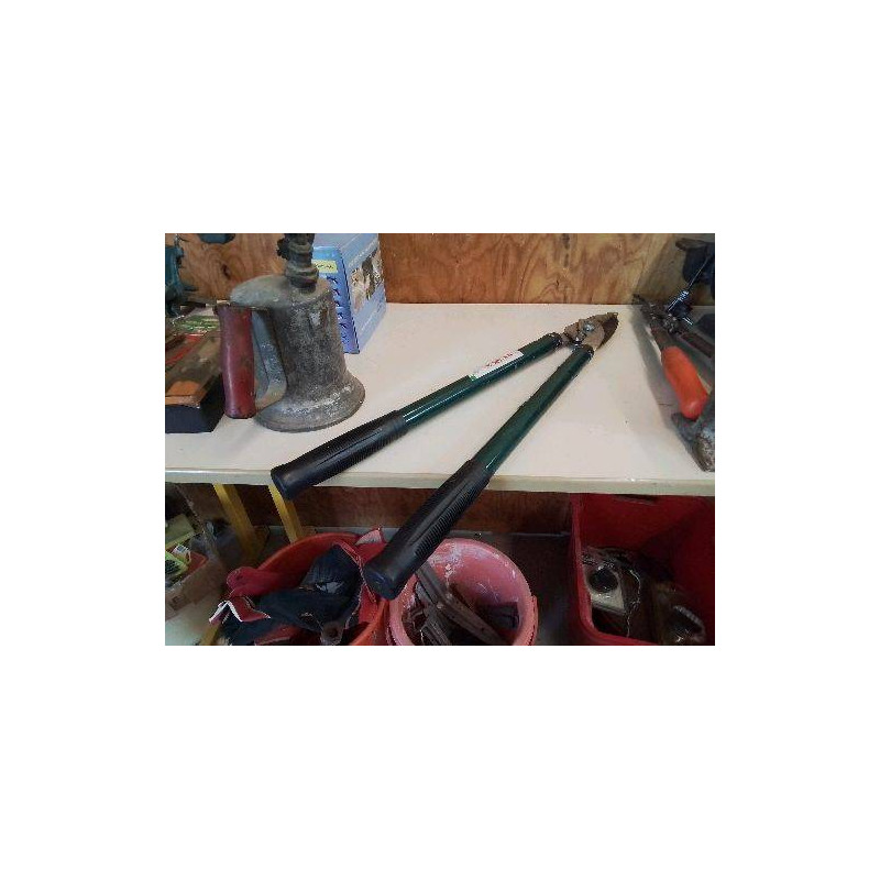 COUPE BRANCHE 