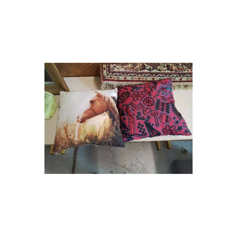 COUSSIN 