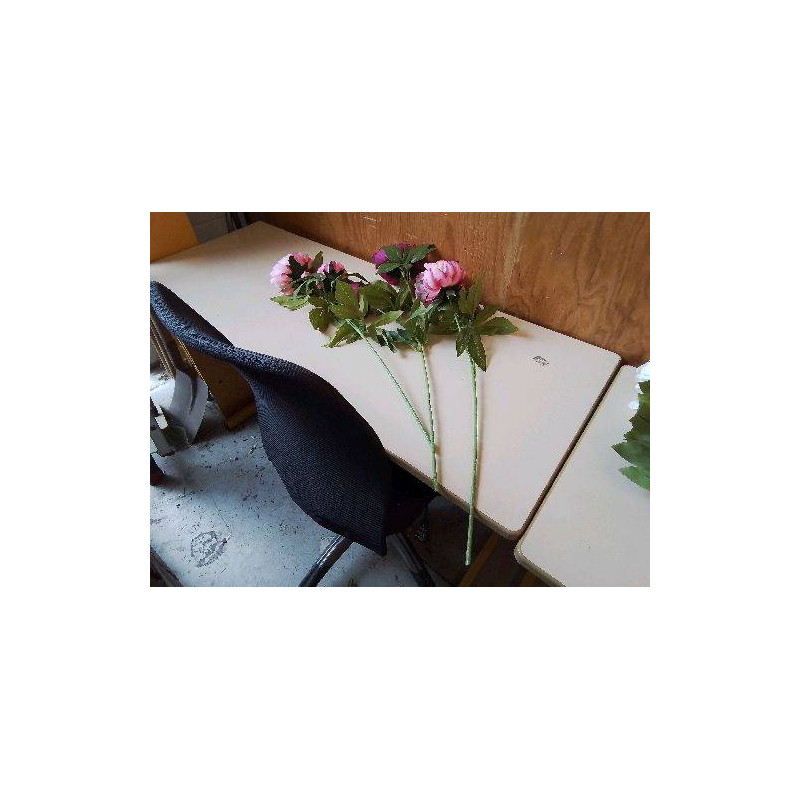 PIVOINE 