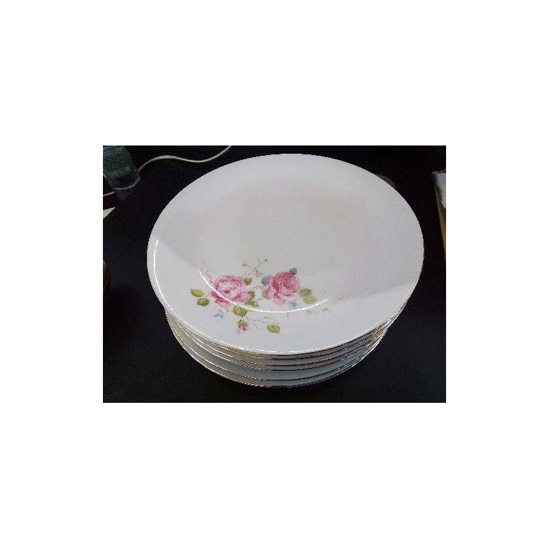 LOT DE 6 ASSIETTES EN PORCELAINE