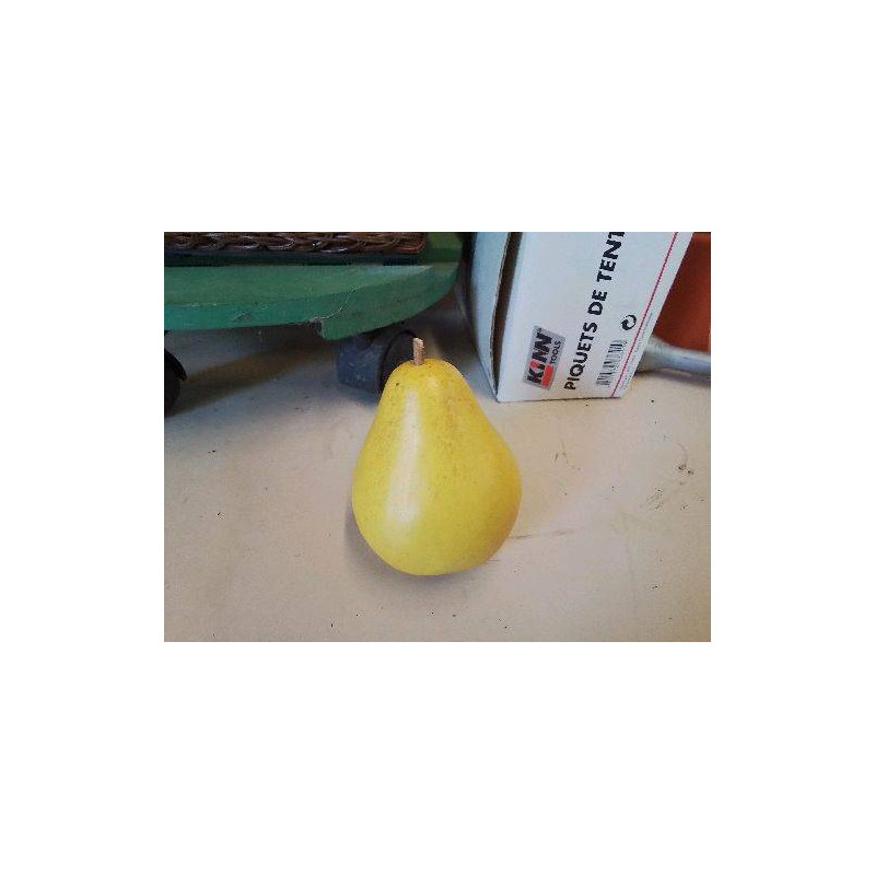 FRUIT DECO 