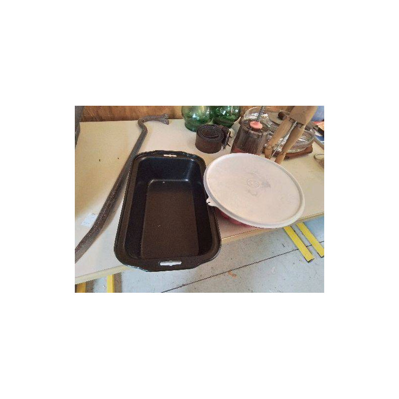 MOULE