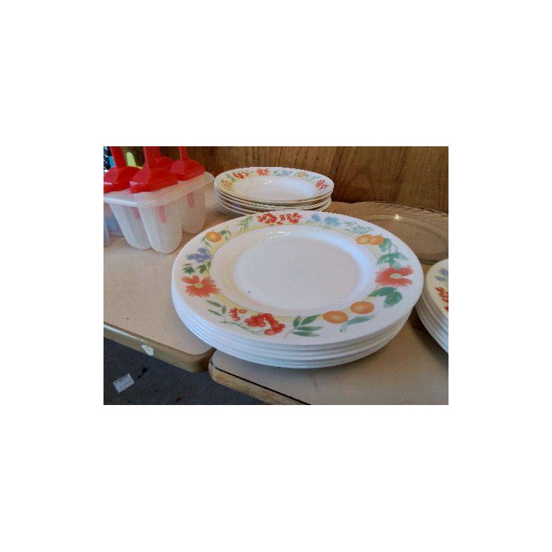 LOT 6 ASSIETTES PLATES 
