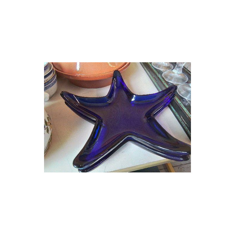 VIDE POCHE ETOILE DE MER 