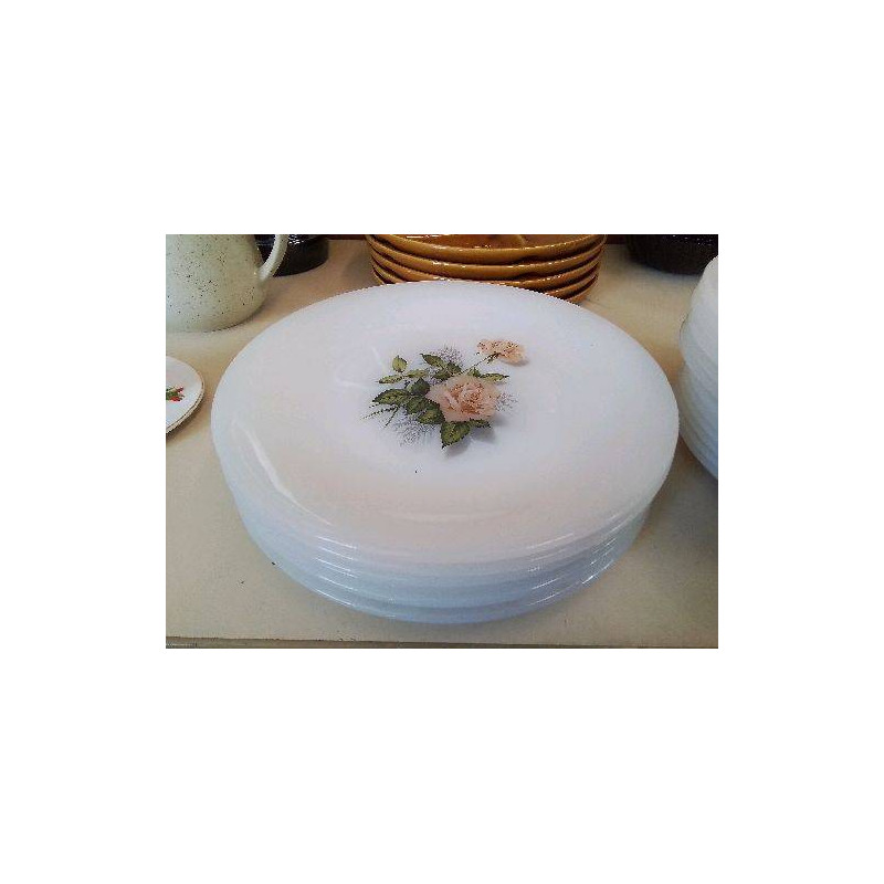 LOT DE 6 ASSIETTES PLATE OPALINE MOTIF FLORAL 